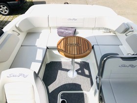 2023 Sea Ray Spx 210 250 Ps V6 Mj 2023 ! à vendre