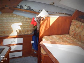 1987 Pacemaker Yachts 31 for sale