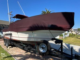 1987 Sea Ray 250 Sundancer in vendita