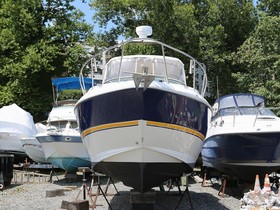 Buy 2004 Cruisers Yachts 280 Cxi