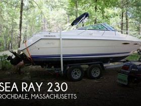 Sea Ray 230 Cuddy Cabin