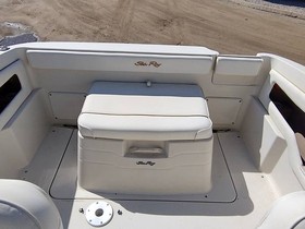 Buy 2000 Sea Ray 215 Express Cruiser