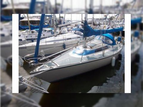 Købe 1985 Dehler Optima 101
