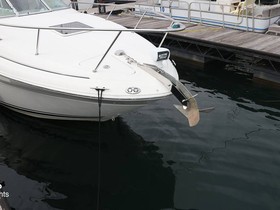 2004 Sea Ray 260 Sundancer in vendita