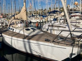 Buy 1977 Peter Norlin 34
