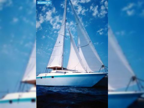 1983 Eigenbau Atlantis 40 for sale