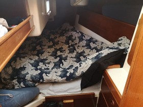 Acquistare 1988 Dromor Discovery 3000