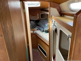 Buy 1979 Seamaster 925