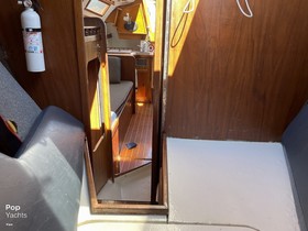 1979 Seidelmann Yachts 299 Sloop kopen