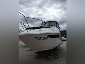 2017 Sea Ray 265 Sundancer for sale
