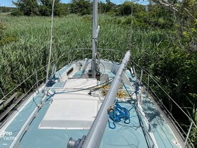 1977 Pearson 365 in vendita