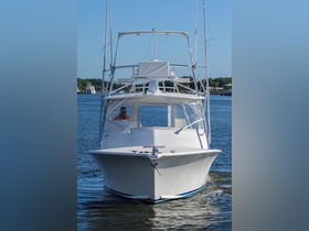 Buy 2007 Judge