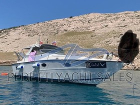 Fiart Mare Aster 31