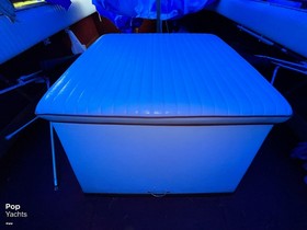 Buy 1972 Lyman Biscayne 24