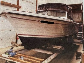 Buy 1972 Lyman Biscayne 24