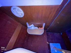 1972 Lyman Biscayne 24 for sale