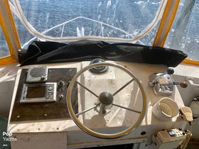 Buy 1978 Bertram 33