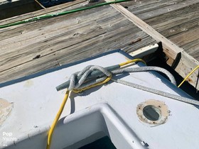 Buy 1978 Bertram 33