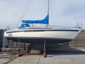 Acheter 1979 Neptun Yachten 31