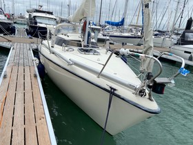 1984 Maxi/Petterson 'Maxi Magic eladó