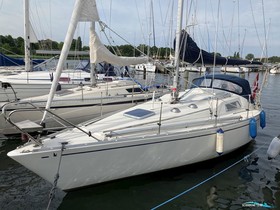 Buy 1978 Albin Marin Scampi 30