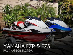 Yamaha Fzr & Fzs