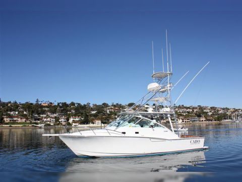 Vegyél 2001 Cabo Express