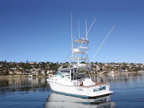 2001 Cabo Express
