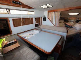 Kjøpe 1987 Sea Ray 300 Sundancer