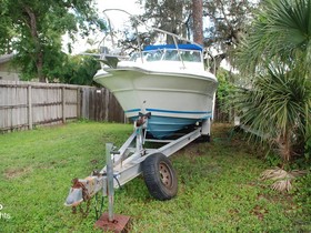 Buy 1996 Sea Ray Laguna 24 Flush Deck Cuddy