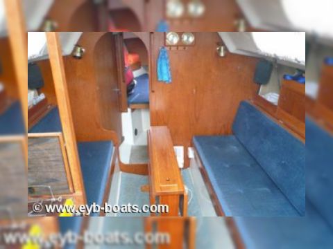 1980 Albin 30 kopen