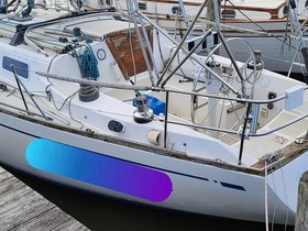 Buy 1979 CAL 39