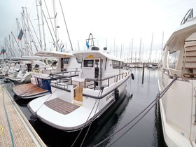 Sargo 31