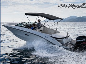 Sea Ray 210 Spoe Outboard Mit 200 Ps