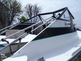 1977 Shamrock Boats 20 kopen