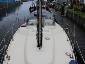 Kupić 1981 Beryll 30