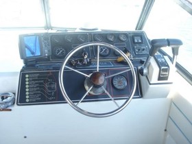 1990 White Shark / Kelt Daytona 950 for sale