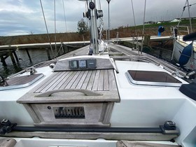 Red Rabbit 40