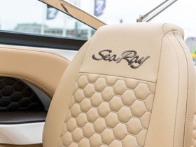 2023 Sea Ray Sunsport 250 (My2023) kaufen