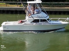 Buy 1991 Bertram Fb Cruiser 28