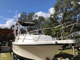 Buy 1999 Shamrock Boats 260 Express