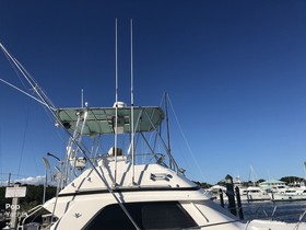 1991 Bertram 37 Convertible