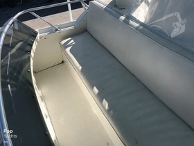 Acquistare 1991 Bertram 37 Convertible