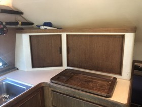 1991 Bertram 37 Convertible in vendita