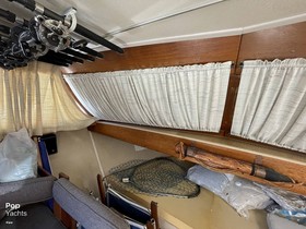 Купить 1973 Marinette Yachts 32 Hardtop Express