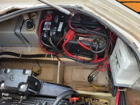Buy 1998 Regal Commodore 242