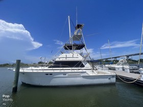 Buy 1983 Bertram 42 Convertible