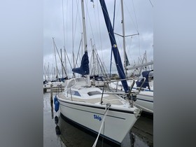 Koupit 1987 Dehler 31