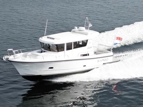 Sargo 31