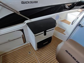 Købe 2023 Quicksilver Activ 755 Sundeck Mit 250Ps